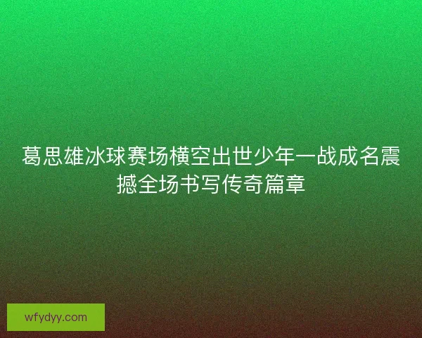 葛思雄冰球赛场横空出世少年一战成名震撼全场书写传奇篇章