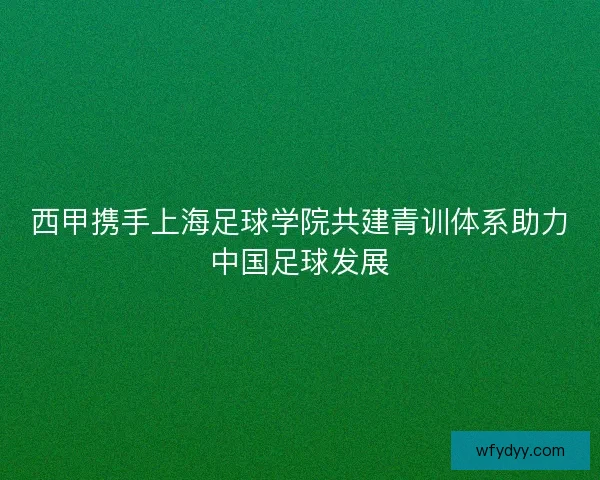 西甲携手上海足球学院共建青训体系助力中国足球发展 西甲携手上海足球学院共建青训体系助力中国足球发展